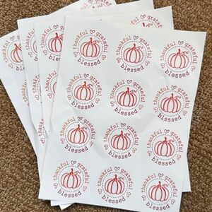 New {set of 24} Thankful grateful blessed pretty aesthetic stickers. 2.5”